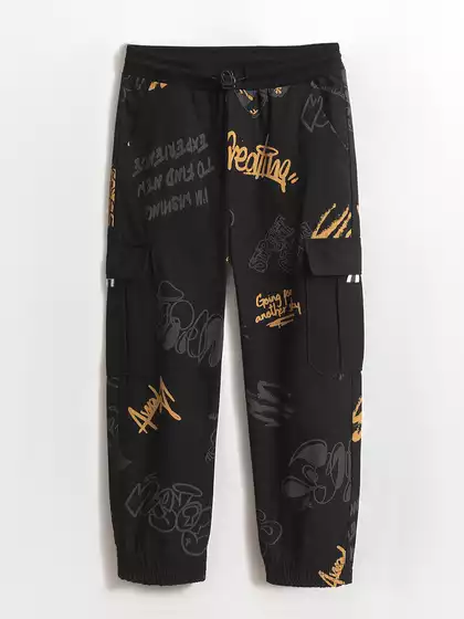 Брюки из поплина Vulpes