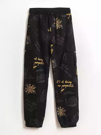 Брюки из поплина Vulpes