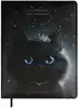 Дневник школьный 1-11 класс ПРИНЦЕССА ЛУНА 68659 кожзам