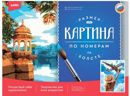 Картина по номерам 30х40см Самолёт в небе Рх-209