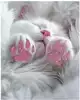Алмазная мозаика 20х25см КОТОЛАПКИ 68591