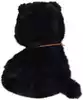 Мягкая игрушка Кот Клякса 23 см 058D-7648D