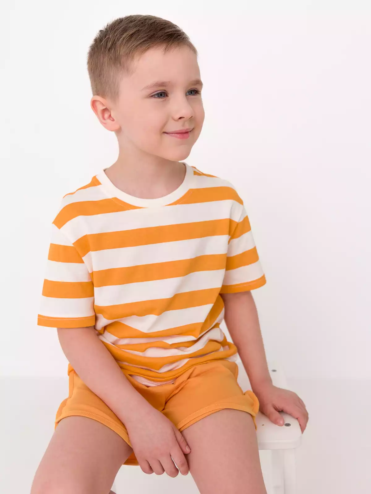 Футболка Vulpes