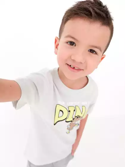 Футболка Vulpes