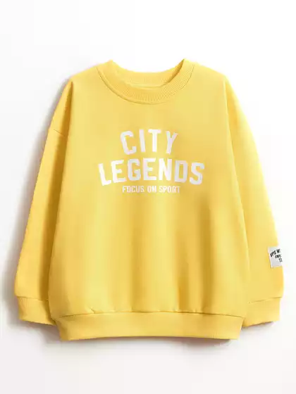 Свитшот Vulpes