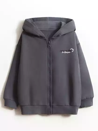 Толстовка Vulpes