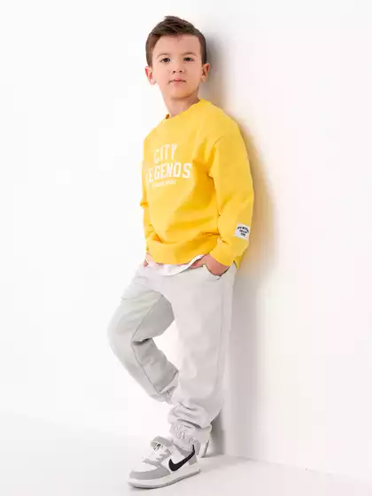 Трикотажные брюки-джоггеры Vulpes