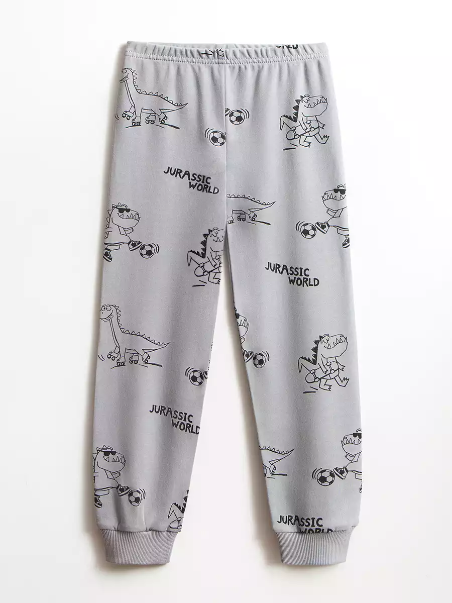 Трикотажные брюки-джоггеры Vulpes