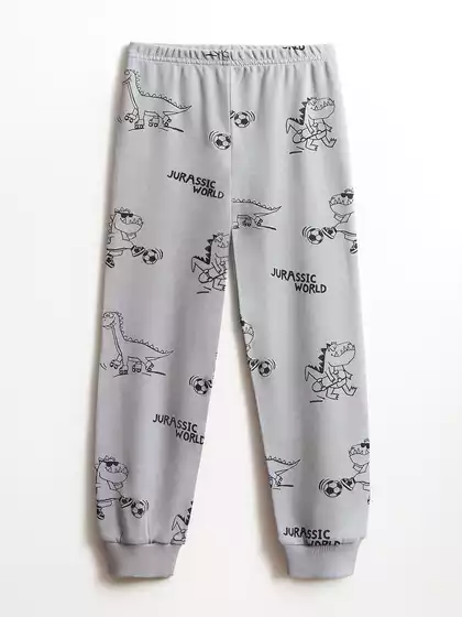 Трикотажные брюки-джоггеры Vulpes