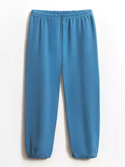 Трикотажные брюки-джоггеры Vulpes