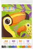 Цветная бумага А4 60л 12цв ТУКАН И ПОПУГАЙ 68831