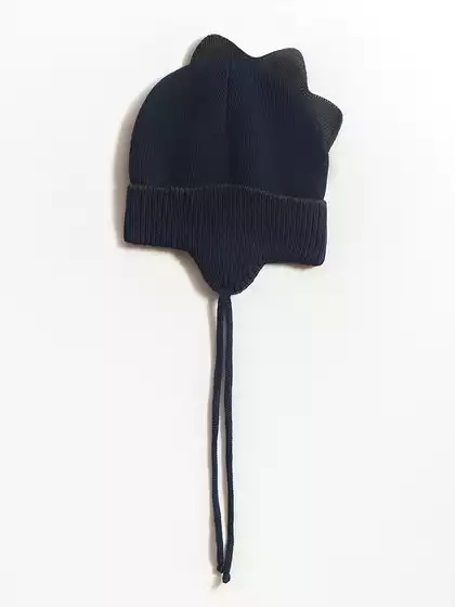 Шапка Vulpes VBH375