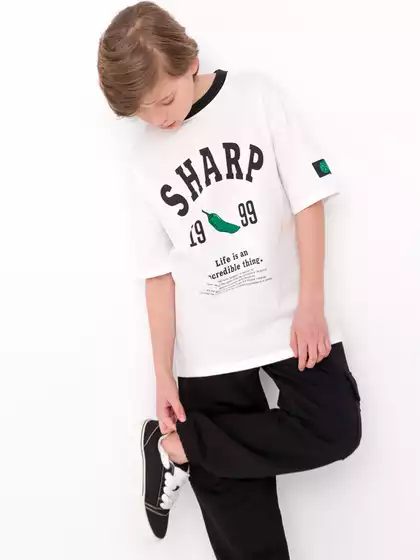 Футболка оверсайз Vulpes