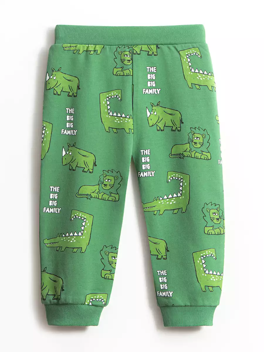 Брюки-джоггеры Vulpes