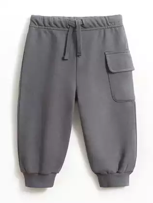 Брюки-джоггеры Vulpes