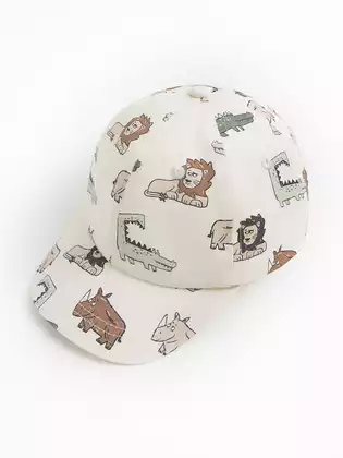 Бейсболка Vulpes 26AS299