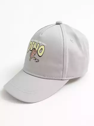 Бейсболка Vulpes 26VS353