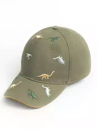 Бейсболка Vulpes 24AS302-3