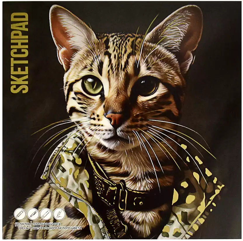 Скетчпад СТИЛЬНЫЙ КОТ 40л 170х170мм офсет 120г 68264