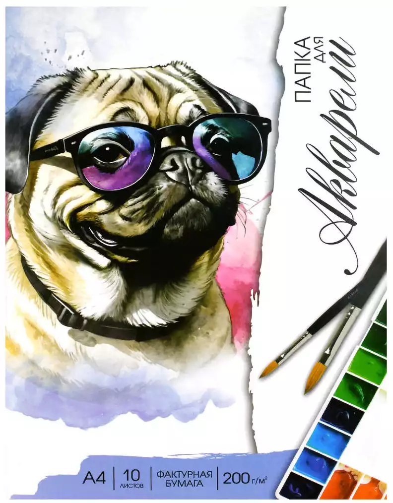 Папка для акварели 10л А4 МОПС В ОЧКАХ 200г 69938