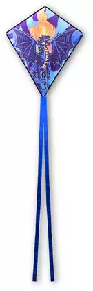 Воздушный змей дракон 60*70 см 058D-8240D