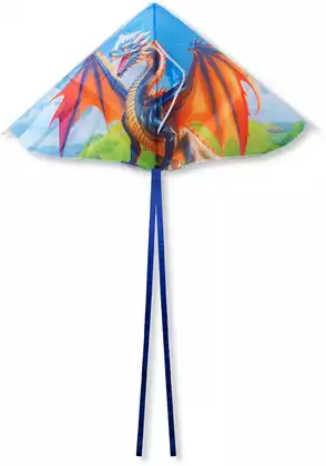 Воздушный змей дракон 100*55 см 058D-8245D