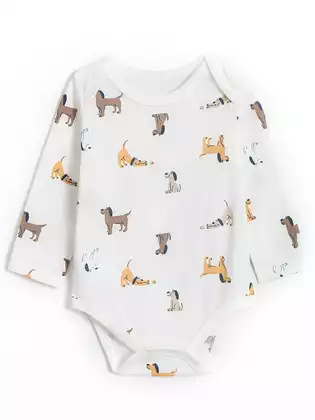 Боди Vulpes