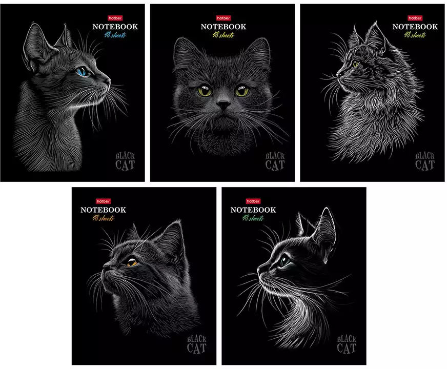 Тетрадь 48л клетка Black Cat 093159