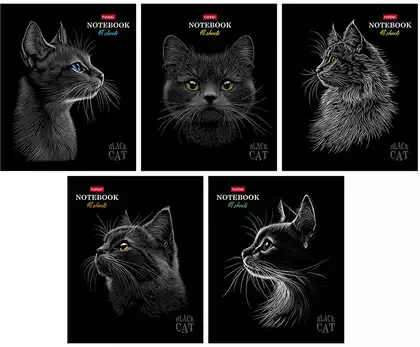 Тетрадь 48л клетка Black Cat 093159