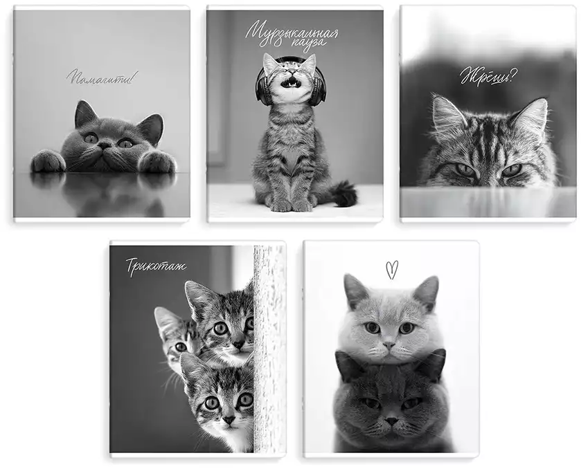 Тетрадь 48л клетка МОНОХРОМНЫЕ КОТЫ 70920