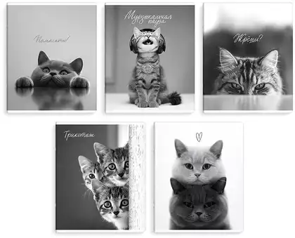 Тетрадь 48л клетка МОНОХРОМНЫЕ КОТЫ 70920