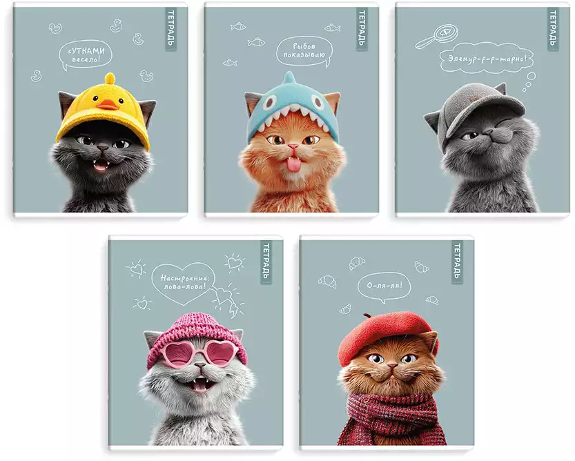 Тетрадь 48л клетка КОТЫ В ШКОЛЕ 70921