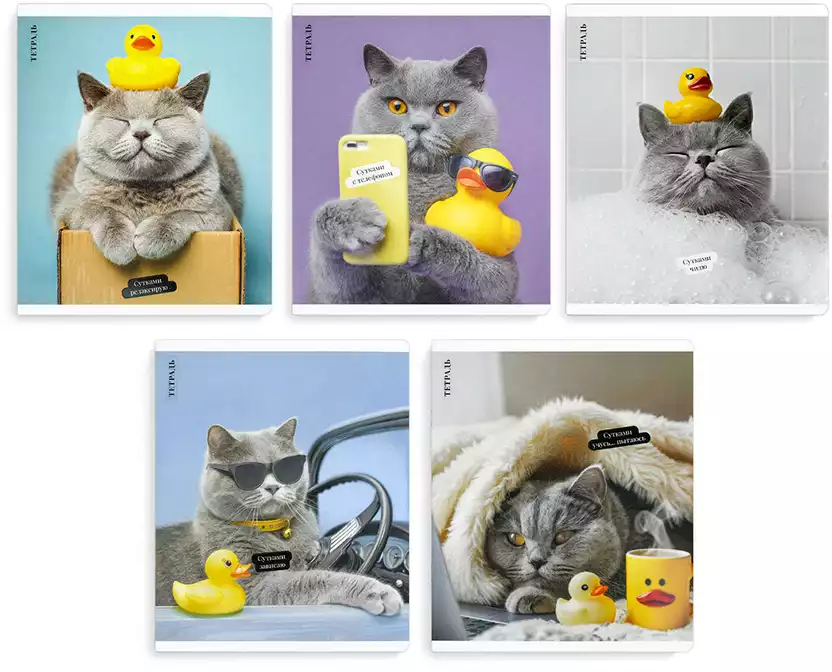 Тетрадь 48л клетка КОТ С УТКОЙ 70924