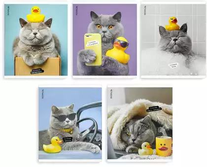 Тетрадь 48л клетка КОТ С УТКОЙ 70924