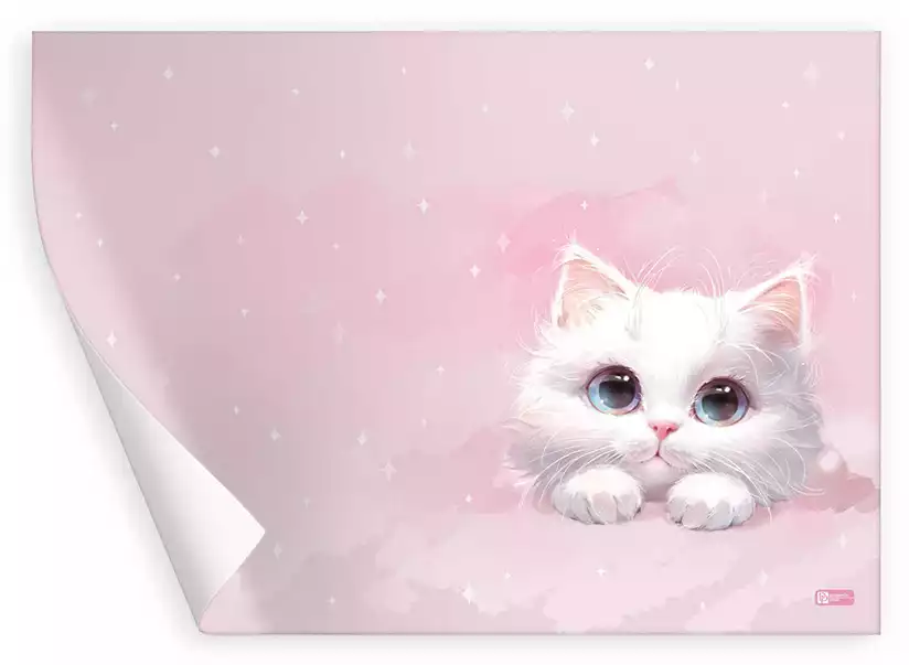 Плёнка цветная для уроков труда 50х70см БЕЛЫЙ КОТ 72994